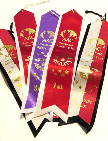 2006-agility-competition