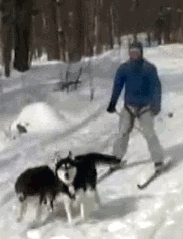 2008-skijoring