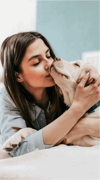 pet-memorial-dog-golden-retriever
