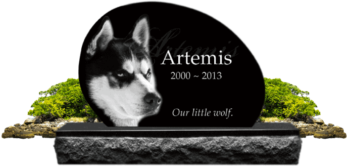 pet-memorial-dog-husky