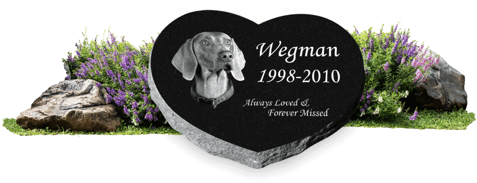 pet-memorial-dog