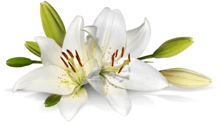 pet-memorial-flower