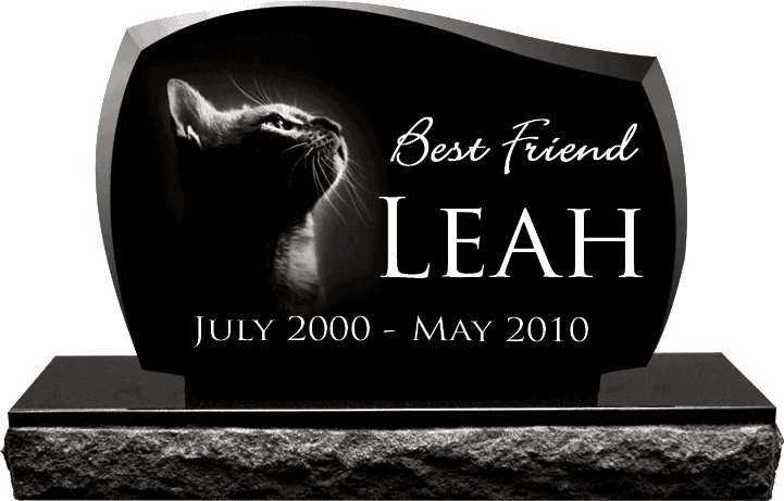 pet-memorial-leah-the-cat