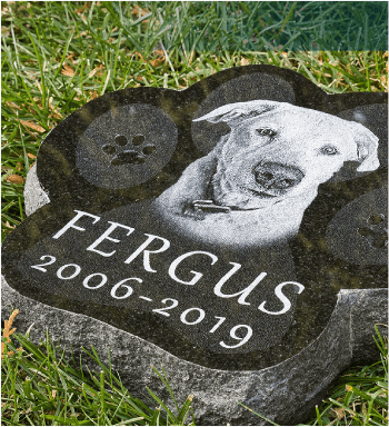 pet-memorials-reason1