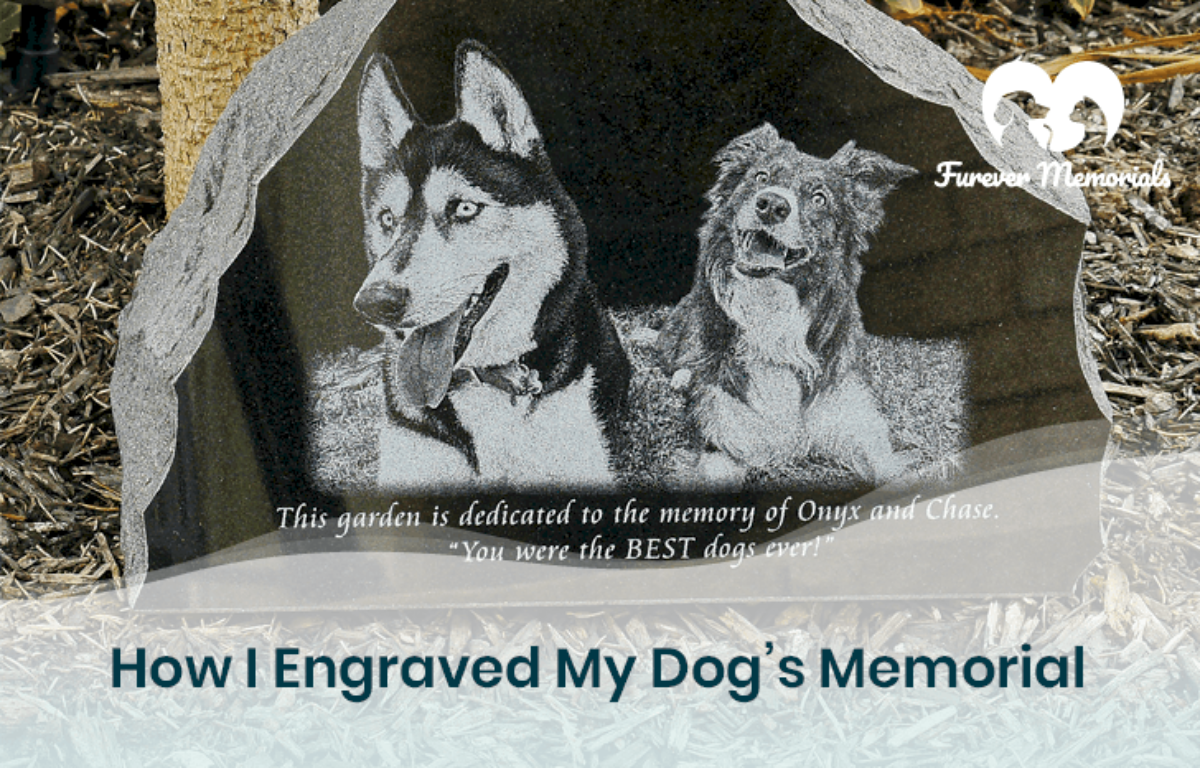 Laser etched pet best sale memorial