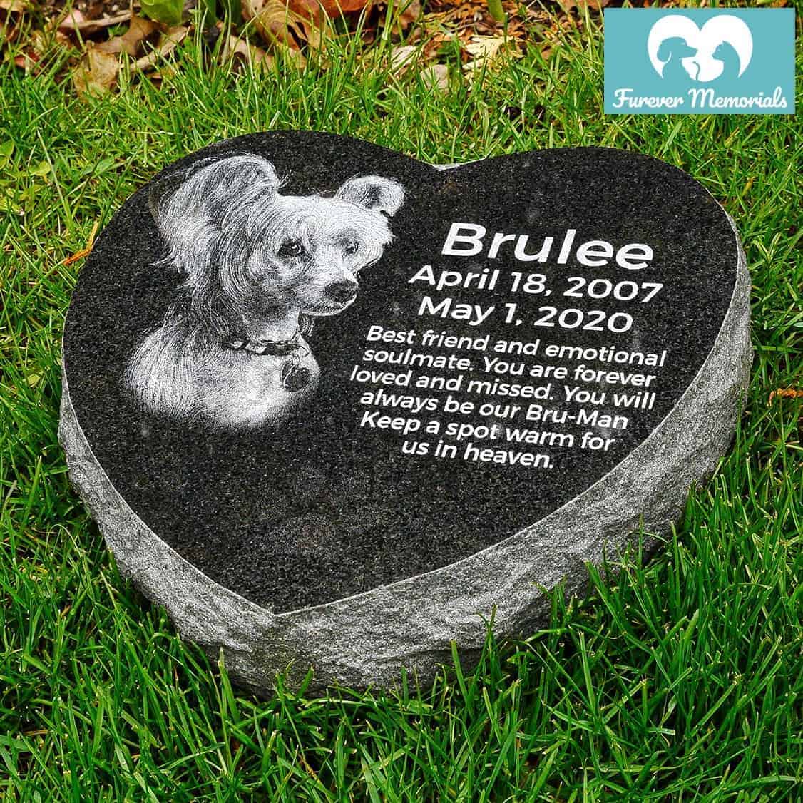 trusted journey pet memorial services