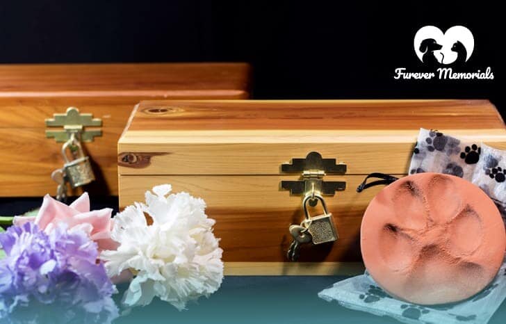 Keep Your Pet's Ashes at Home