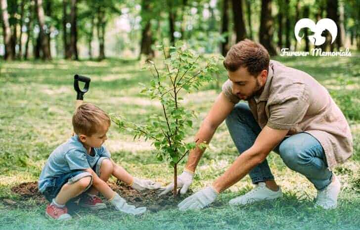 Plant a Tree of Remembrance