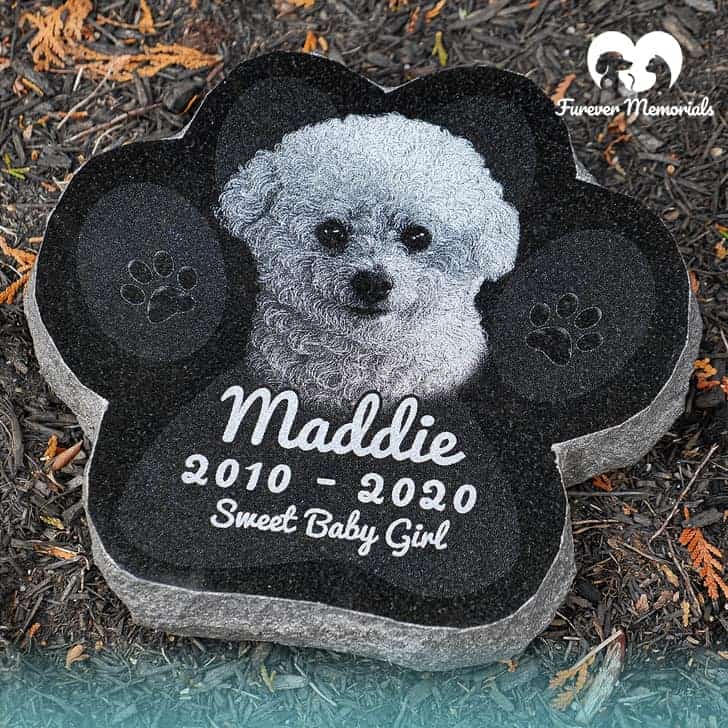 Vancouver island online animal crematorium