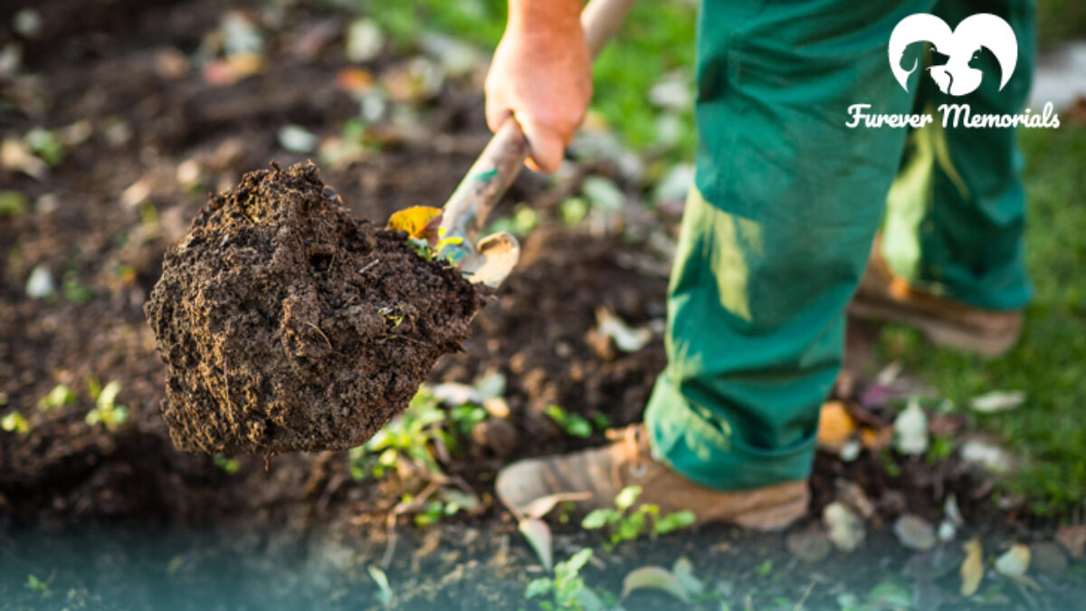 Can I Bury My Dog In My Backyard Ontario - Burying A Pet In BackyarD 1200x675