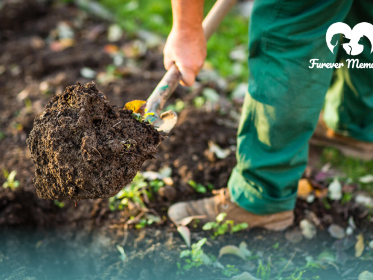 Is It Legal To Bury A Dog In Your Yard - Burying A Pet In BackyarD 1200x900