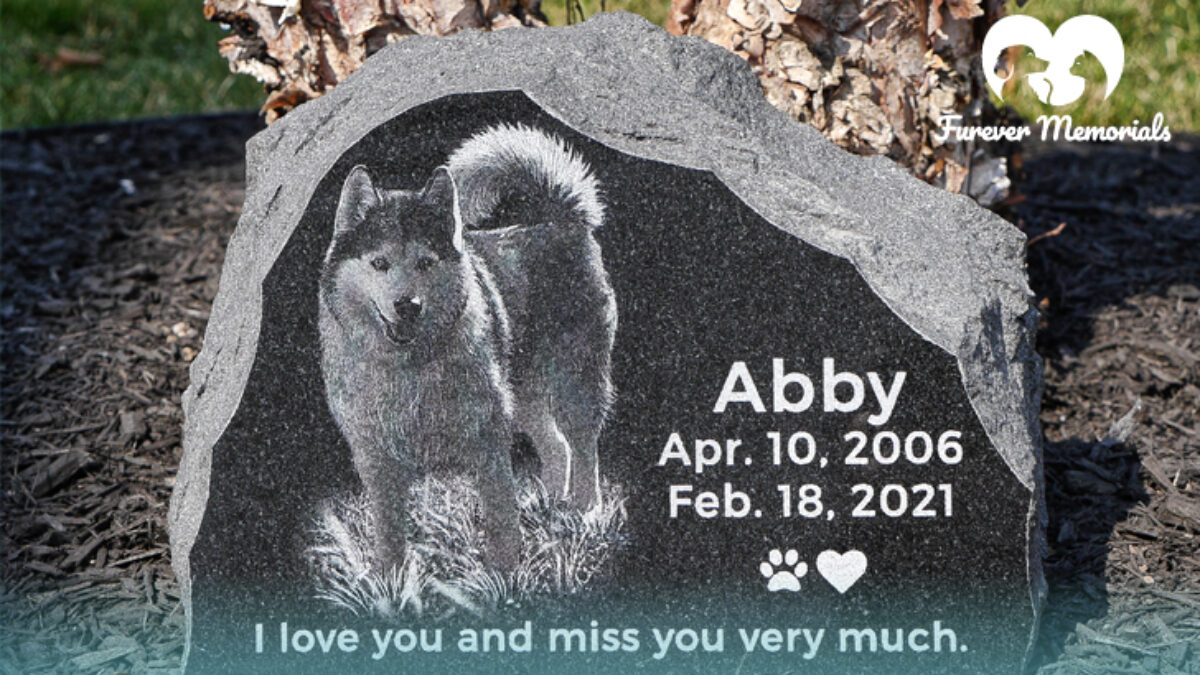 Pet Memorial 101: How to Choose the Right One for Your Pet - Furever  Memorials
