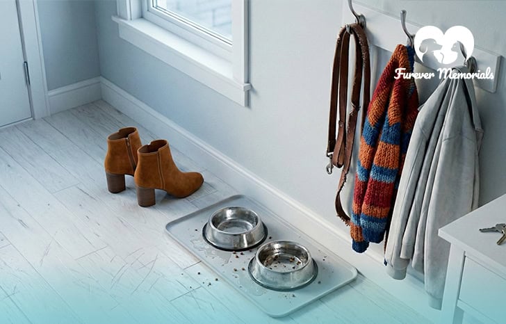 Dog water and food bowls, mostly empty, reminder of a dog's presence.