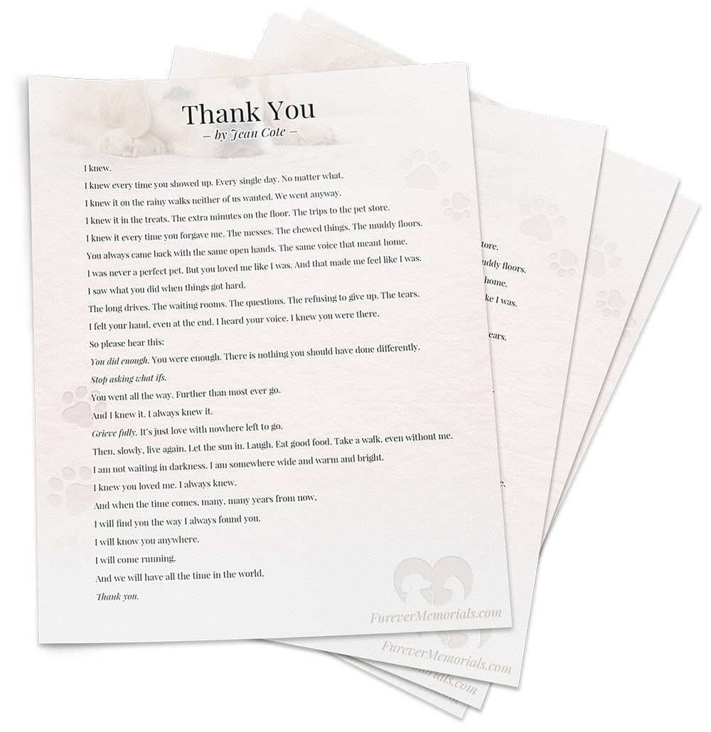 Printable Thank You pet loss poem by Jean Cote shown as a stacked paper preview from Furever Memorials