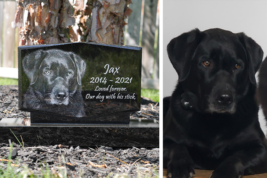 Before and after black Labrador Retriever memorial showing original dog photo and engraved granite portrait