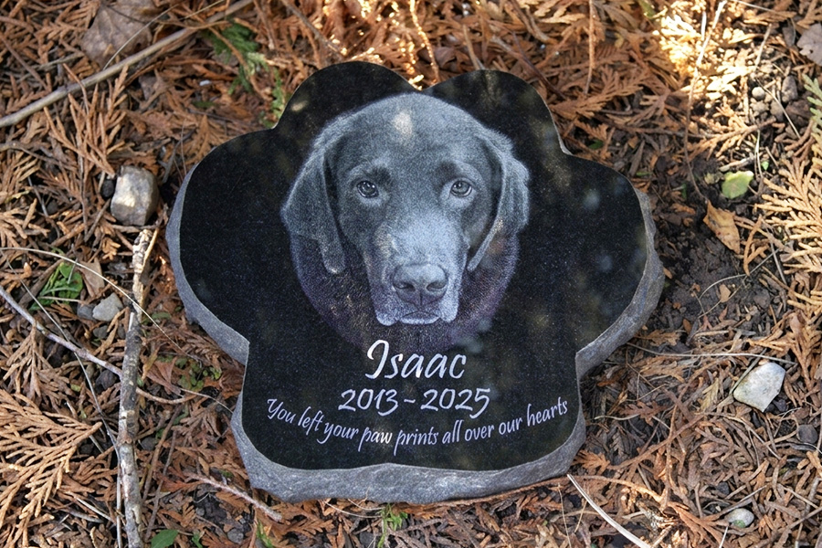 Paw shaped engraved black Labrador Retriever memorial stone with portrait placed outdoors on natural ground