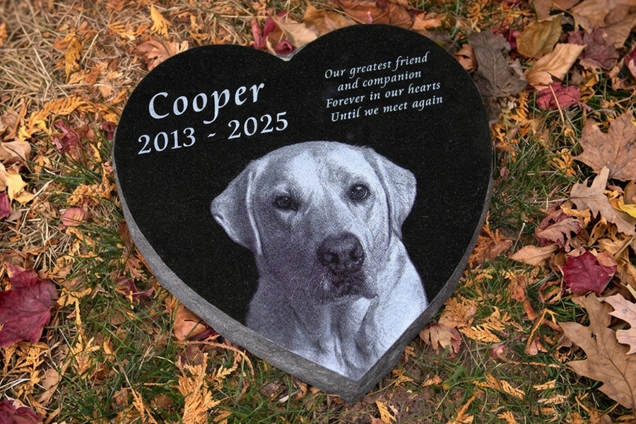 Heart shaped engraved Labrador Retriever memorial stone with portrait placed outdoors on grass and leaves