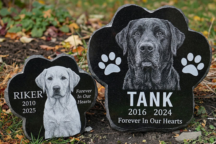 Engraved granite Labrador Retriever memorial stones with detailed dog portraits and paw prints