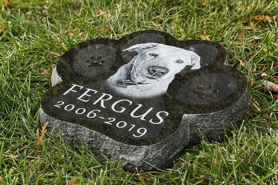 Paw shaped engraved Labrador Retriever memorial stone with portrait placed on grass