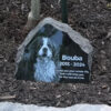 Bouba’s custom dog memorial stone placed in a garden beneath a young oak tree.