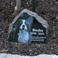 Bouba’s custom dog memorial stone placed in a garden beneath a young oak tree.