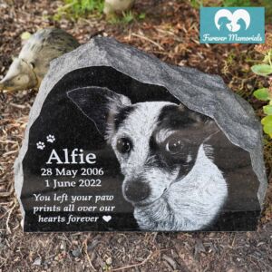 Rustic black granite pet memorial stone engraved with a portrait of Alfie the Jack Russell, including the dates May 28, 2006 – June 1, 2022 and the inscription “You left your paw prints all over our hearts forever,” placed in a garden bed.