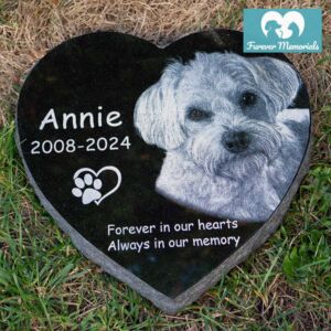 Heart-shaped black granite pet memorial for Annie (2008–2024) engraved with a detailed portrait of a fluffy small dog, placed naturally in grass as a garden grave marker.