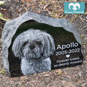 Rustic black granite pet memorial stone engraved with a portrait of Apollo the dog, including the dates 2005–2022 and the inscription “Forever loved, so dearly missed,” placed in a garden bed.