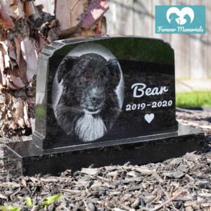 Black granite upright pet memorial headstone engraved with a portrait of Bear the dog, featuring his name, dates 2019–2020, and a small heart symbol.