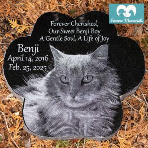 Custom engraved black granite paw-shaped pet memorial for cat Benji with detailed portrait engraving and inscription, displayed in an outdoor garden setting