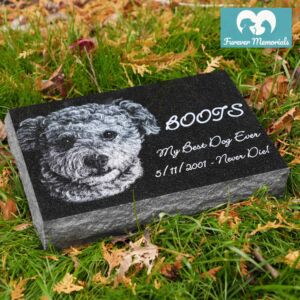 Black granite flat pet memorial marker engraved with a portrait of Boots the dog and the inscription “Boots – My Best Dog Ever – 5/11/2001 – Never Die,” placed on grass in a garden.