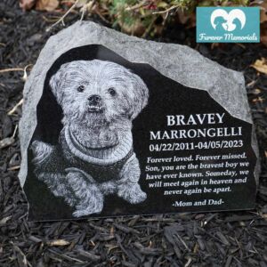 Rustic black granite pet memorial stone engraved with a portrait of Bravey Marrongelli the dog, including the dates April 22, 2011 – April 5, 2023 and a heartfelt dedication, placed in a garden bed.