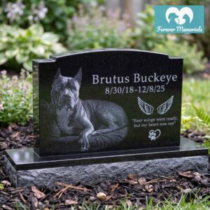 Custom engraved black granite pet memorial for Brutus Buckeye featuring a detailed portrait of a short-haired dog with upright ears in a backyard garden setting.