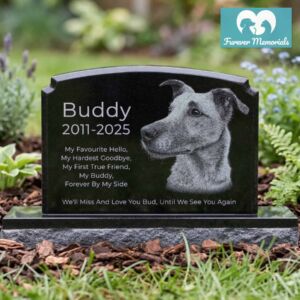Black granite pet memorial headstone for Buddy (2011–2025) engraved with a detailed portrait of a loyal dog with alert ears, displayed in a peaceful backyard garden setting.
