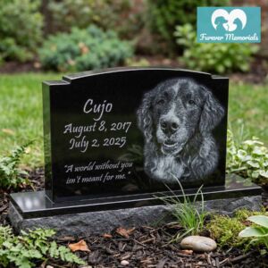 Black granite pet memorial headstone for Cujo (August 8, 2017 – July 2, 2025) engraved with a detailed portrait of a long-eared dog with curly fur, placed in a peaceful backyard garden setting.