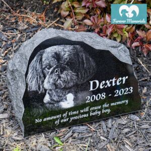 Rustic black granite pet memorial stone engraved with a portrait of Dexter the dog, including the dates 2008–2023 and the inscription “No amount of time will erase the memory of our precious baby boy,” placed in a garden bed.