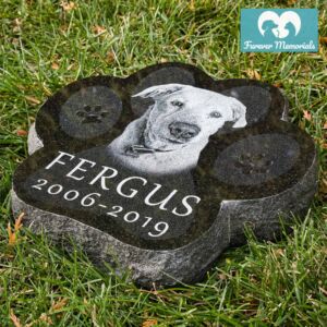 Black granite paw-shaped pet memorial stone engraved with a portrait of a dog named Fergus with the dates 2006–2019, placed in grass in an outdoor garden setting.