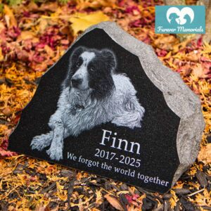 Rustic black granite pet memorial for Finn (2017–2025) engraved with a detailed portrait of a black and white dog resting with paws crossed, placed naturally in an autumn garden setting.