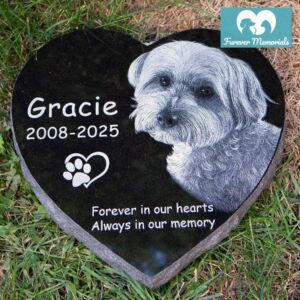 Heart-shaped black granite pet memorial for Gracie (2008–2025) engraved with a detailed portrait of a small fluffy dog, placed naturally in grass as a garden grave marker.