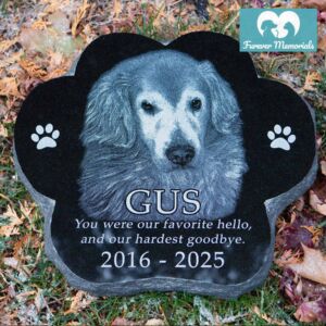 Black granite paw-shaped pet memorial for Gus (2016–2025) engraved with a detailed portrait of a golden retriever, placed naturally in grass and autumn leaves as a garden grave marker.