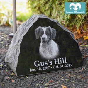 Rustic black granite pet memorial stone engraved with a portrait of Gus the dog and the inscription “Gus’s Hill” with memorial dates 2007–2015, placed in a garden bed.