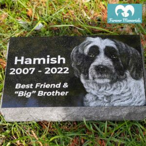 Black granite flat pet memorial marker engraved with a portrait of Hamish the dog and the inscription “Hamish 2007–2022 – Best Friend & ‘Big’ Brother.”