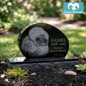 Custom engraved black granite oval pet memorial for dog Hansel with detailed poodle portrait engraving, polished headstone on granite base in a garden setting