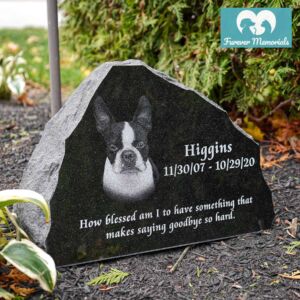 Rustic black granite pet memorial engraved with a portrait of Higgins the Boston Terrier and memorial dates 2007–2020, placed in a garden setting.