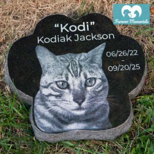 Black granite paw-shaped pet memorial for Kodi (Kodiak Jackson) engraved with a detailed portrait of a tabby cat, placed naturally in grass as a garden grave marker.