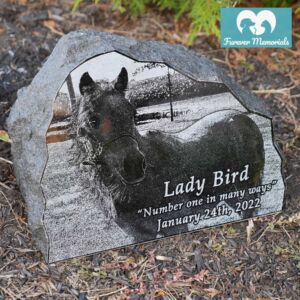 Rustic black granite pet memorial stone engraved with a portrait of Lady Bird the horse, including the inscription “Number one in many ways” and the date January 24th, 2022, placed in a garden bed.