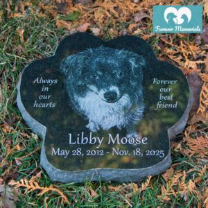 Black granite paw-shaped pet memorial for Libby Moose (May 28, 2012 – Nov. 18, 2025) engraved with a detailed portrait of a fluffy dog, placed naturally in grass and autumn leaves as a garden grave marker.