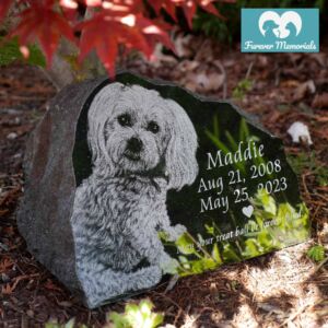 Rustic black granite pet memorial stone engraved with a portrait of Maddie the dog, including the dates Aug 21, 2008 – May 25, 2023 and a loving inscription, placed in a garden beneath red maple leaves.