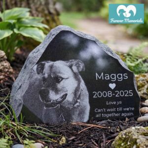 Rustic black granite pet memorial for Maggs (2008–2025) engraved with a detailed portrait of a smiling dog, displayed in a peaceful backyard garden setting.