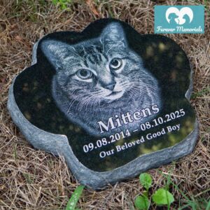 Black granite paw-shaped pet memorial stone for Mittens engraved with a detailed portrait of a tabby cat, placed naturally on the ground in an outdoor garden setting.